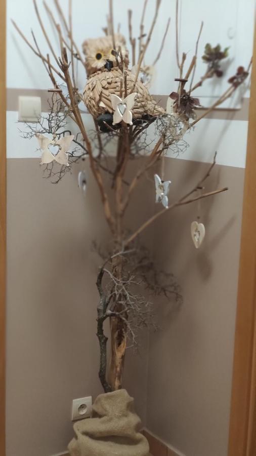 Margus Apartmany Oscadnica Dış mekan fotoğraf